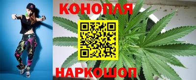 mdpv Беслан