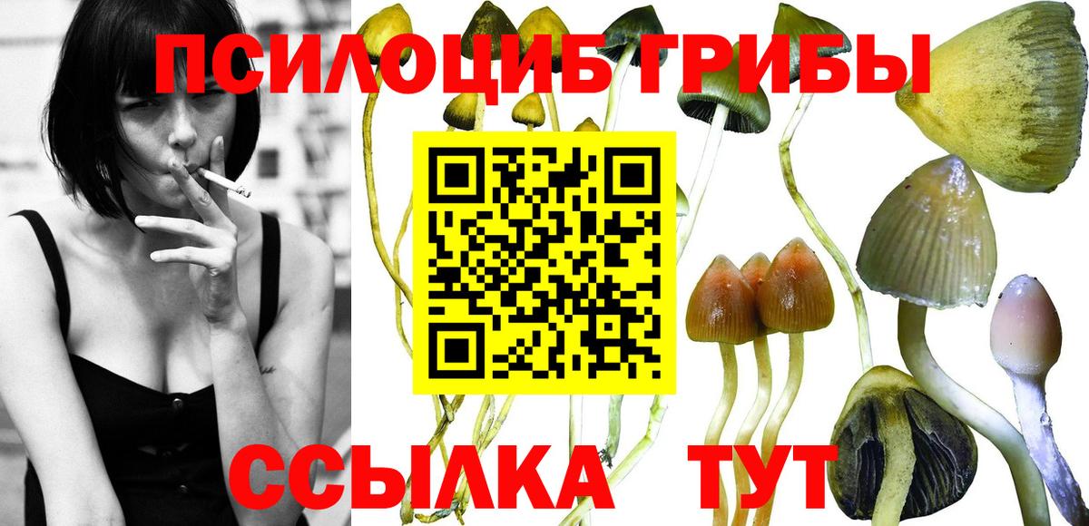 Галлюциногенные грибы прущие грибы  Галлюциногенные грибы прущие грибы  Знаменск  Вход с VPN 